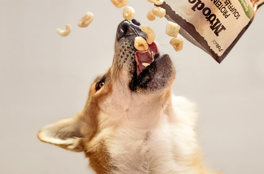Animal food (1)