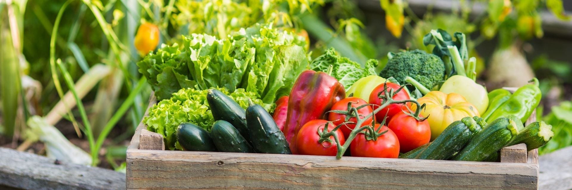 Food Safety Modernization Act Produce Safety Rule - FSMA Readiness: What are Produce Safety Risks? | Local ... / What is the food safety modernization act?