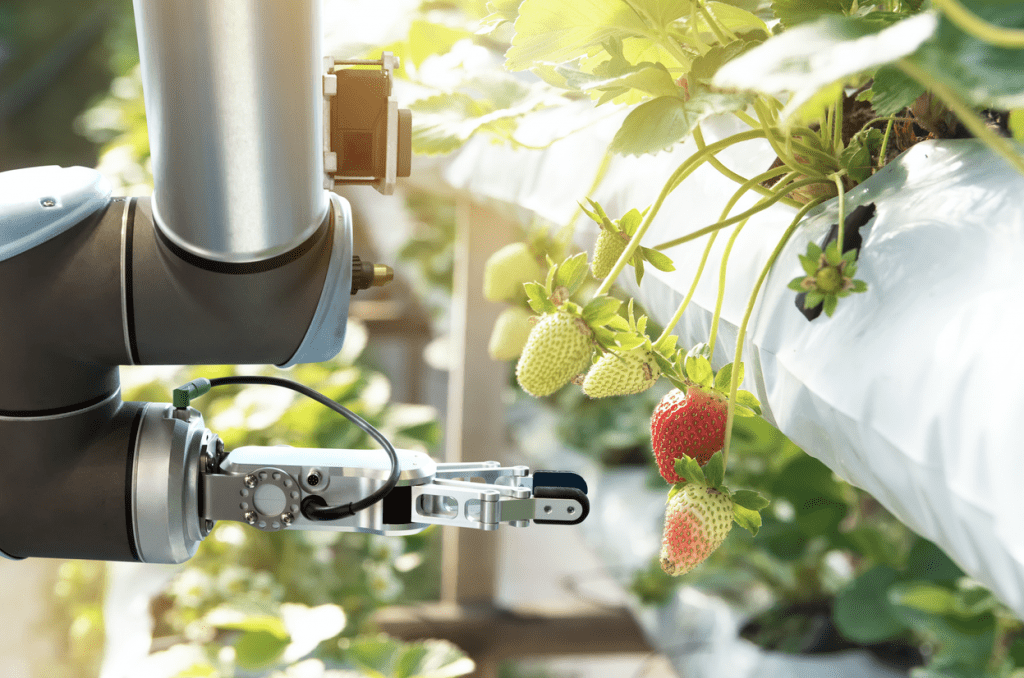 Agriculture-technology-,-artificial-intelligence-concepts,-Farmer-use-smart-farm-automation-robot-assistant-image-processing-for-detection-weed-,spray-chemical-,-replace-worker-and-increase-precision