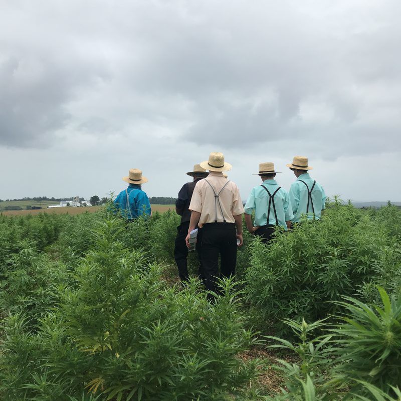 Pennsylvania Hemp Summit Offers Hemp Growers Food For Thought