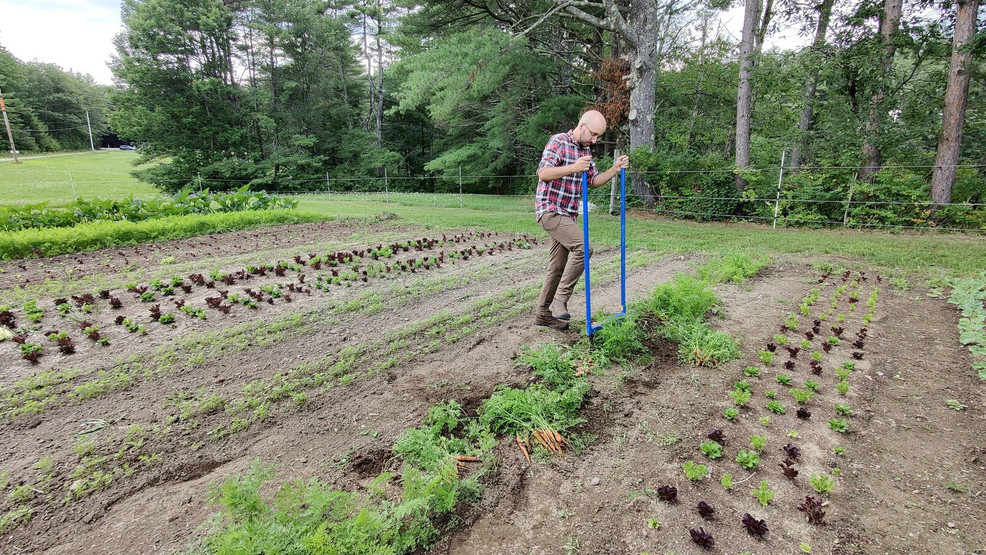 Maine to expand mental health help for farmers
