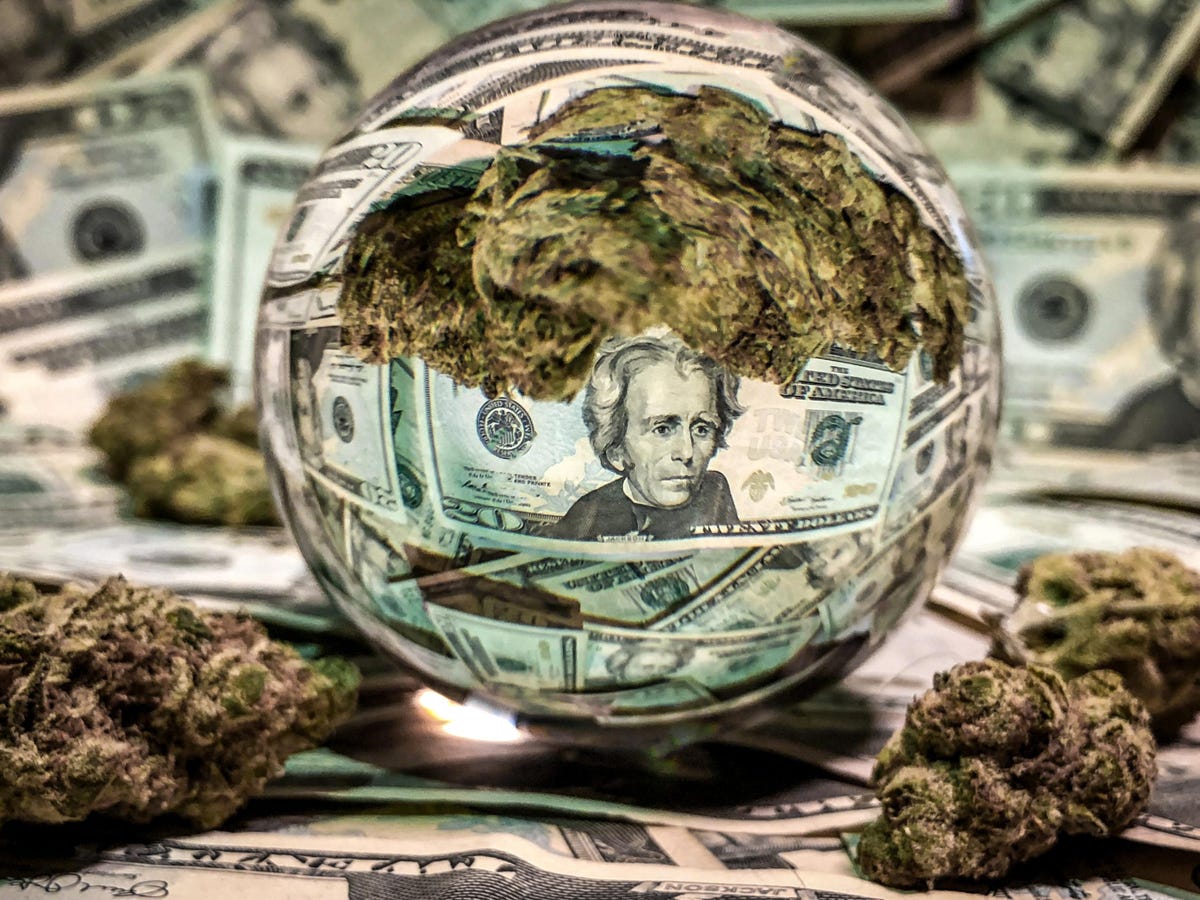 Top 10 Predictions For Cannabis In 2022