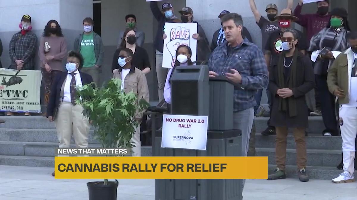 California Cannabis Industry On Brink Of Shutting Down, Business Leaders Claim