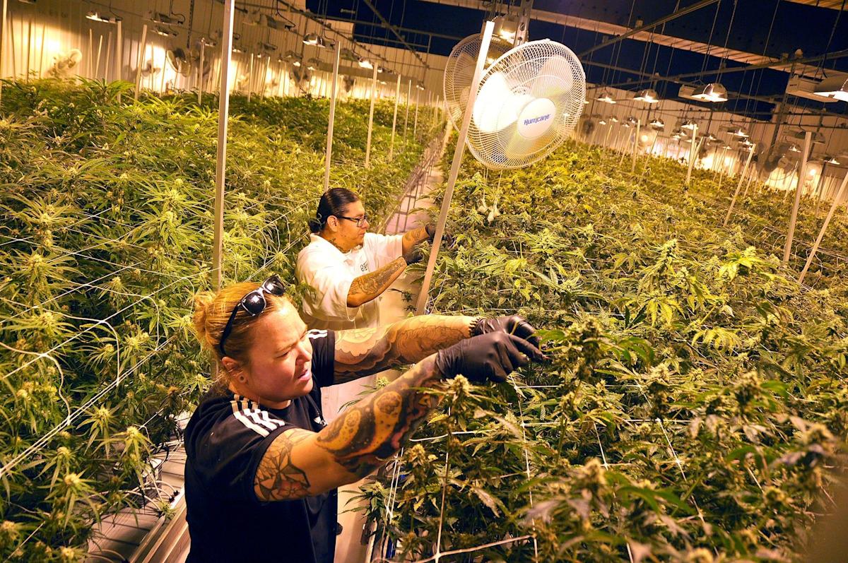 Marijuana, housing and nursing shortages: sioux falls business stories to watch in 2022