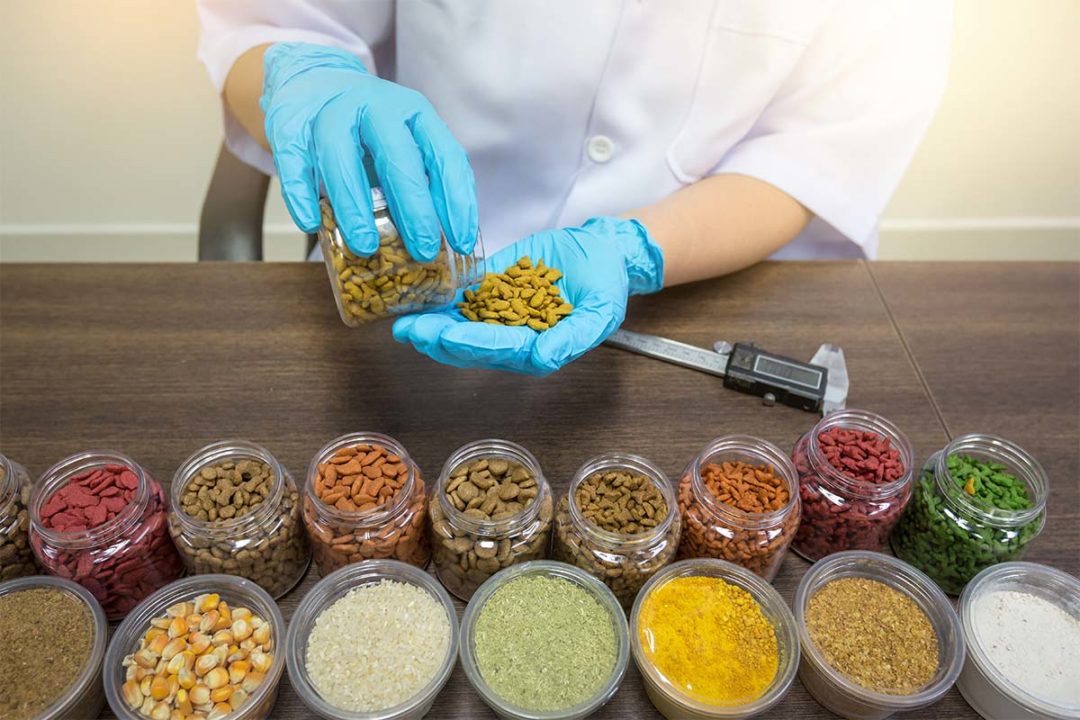 Kansas State University Preps For Pet Food, Food Safety Courses