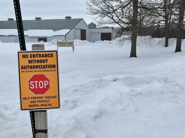 As avian flu cases slow, farmers struggle with mental stress