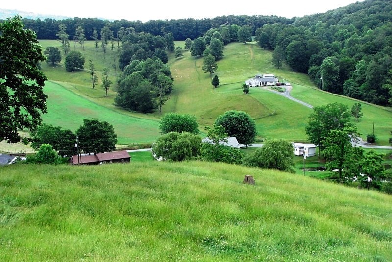 Big picture: during va. agriculture week, june 12 18