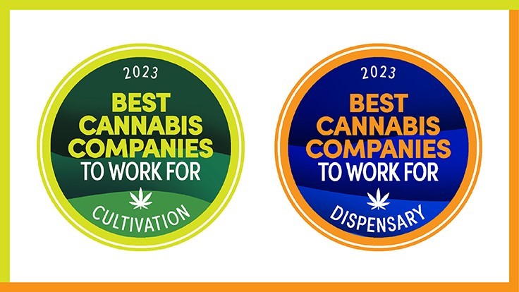 Entries Now Open For Best Cannabis Companies To Work For 2023