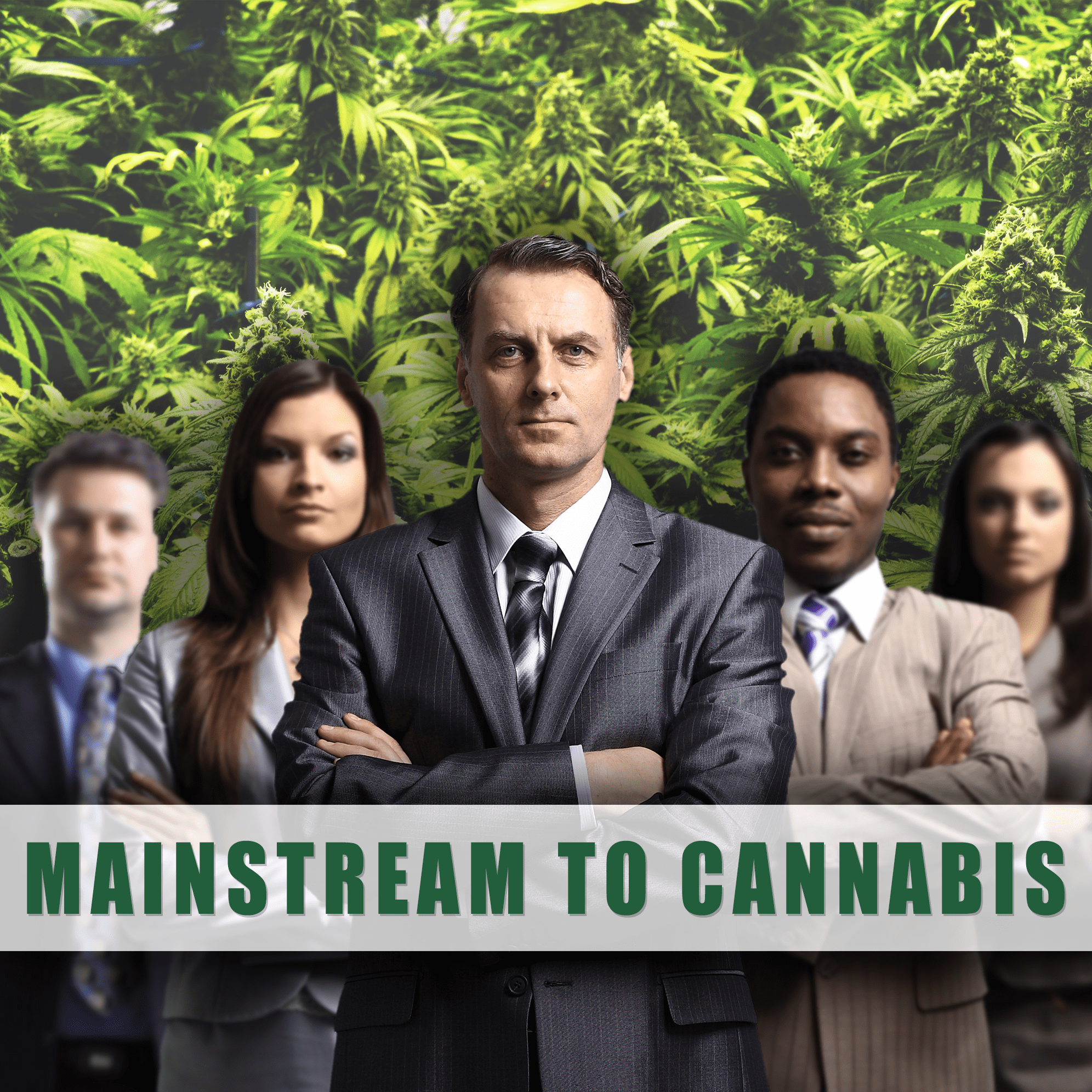 From food to cannabis, csq founder tyler williams is all about safety and quality