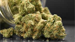 Medical Marijuana Bill Resurfaces In Nc Senate, Heading To Floor
