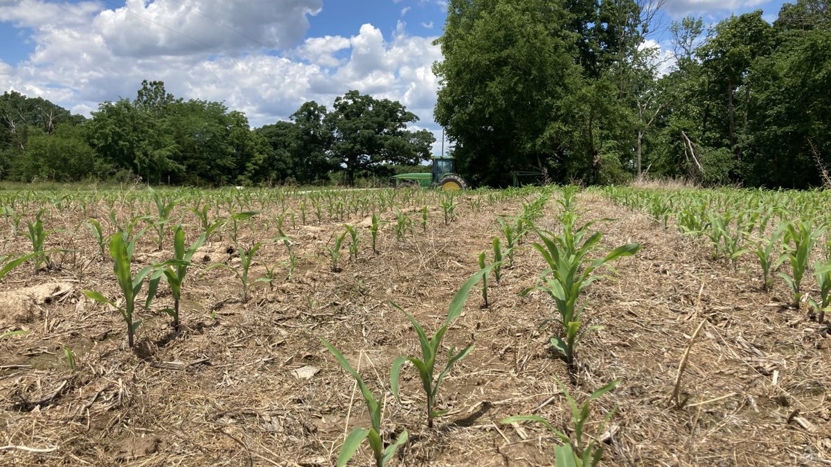 Missouri department of agriculture seeks input on education