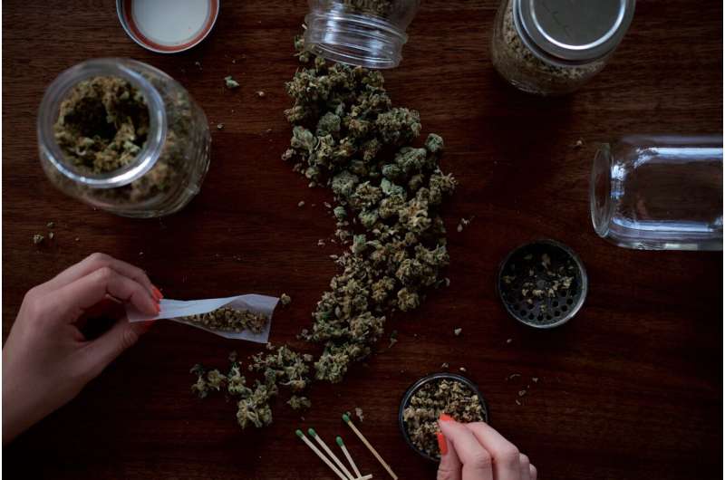 Cannabis tourism: how a new travel trend is taking off