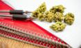 Cannabis and the classroom: where do things stand?