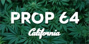 Cannabis Workshop Tonight In Paso 08.18.2022