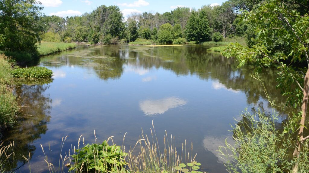 Health Officials: Odors Near Kalamazoo Factory Increase Health Risks For Neighbors