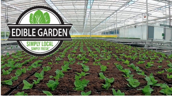 Indoor Farm Awarded Food Safety Grant
