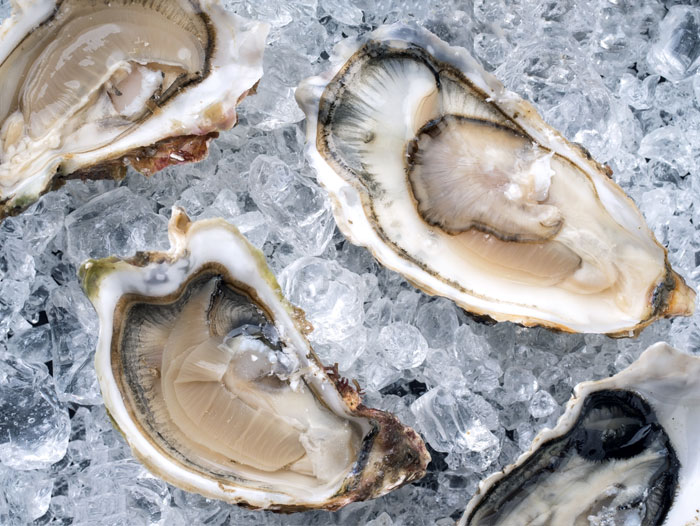 Fda Advises Restaurants And Retailers Not To Serve Or Sell And Consumers Not To Eat Certain Raw Oysters From Dai One Food Co., Ltd, Republic Of Korea Potentially Contaminated With Norovirus