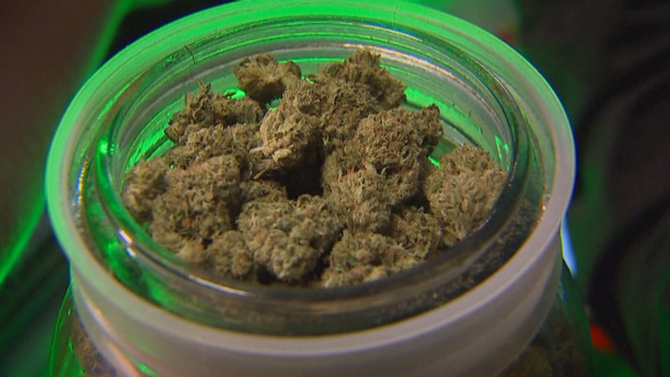 Oregon Regulators Recall Weed Strain Found To Contain Arsenic