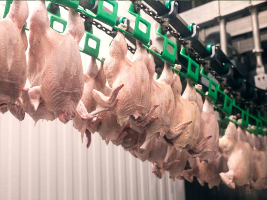 7 cases of tuberculosis in alabama poultry plants reported; testing scheduled