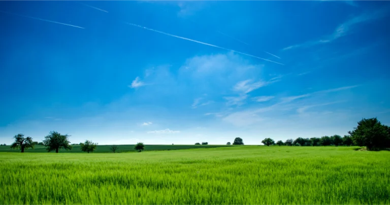 Pexels akos szabo grass field outdoors